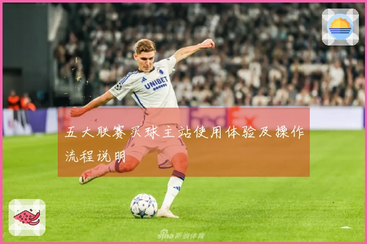 五大联赛买球主站使用体验及操作流程说明