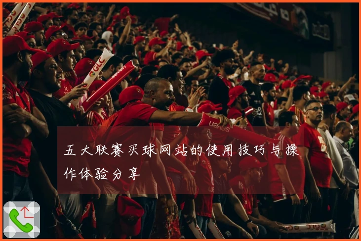 五大联赛买球网站的使用技巧与操作体验分享