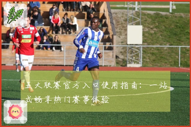 五大联赛官方入口使用指南：一站式畅享热门赛事体验