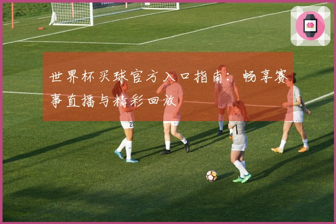 世界杯买球官方入口指南：畅享赛事直播与精彩回放