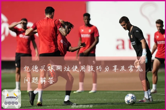 亿德买球网址使用技巧分享及常见问题解答