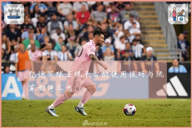 亿德买球正规平台的使用技巧与玩家测评汇总