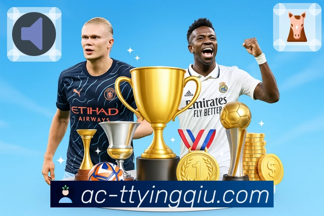 天天盈球 Sports 官方视觉图